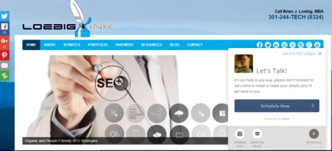 How Much is Too Much?: A Content Guide to Your Website Home Page