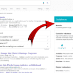 SERP Feature - Knowledge Panel
