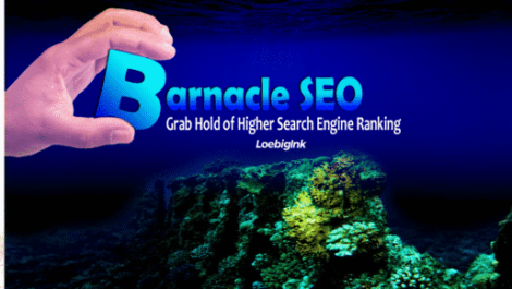 Barnacle SEO